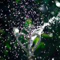Essential Plumbing Inspections & Sprinkler Services in Loudoun County