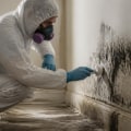 Protect Your Home with Expert Mold Removal in Portland