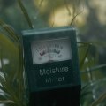 Protect Your Seattle Property With Moisture Control After a Plumbing Inspection